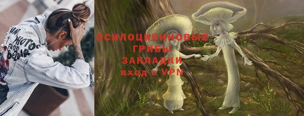 индика Вязники