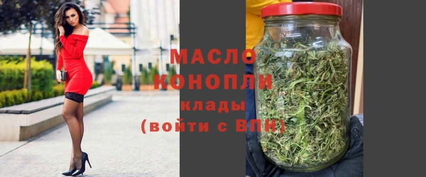 индика Вязники